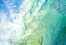 Wave Energy: Harnessing the Untamed Power of the Ocean Wave Energy: Converting Ocean Power to Clean Electricity